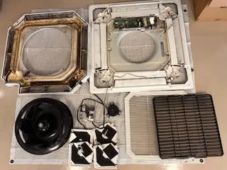 Before（洗浄前）