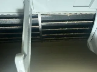 ポツポツと黒い点やカビが見える